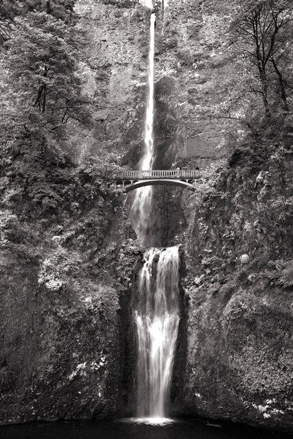 Multnomah